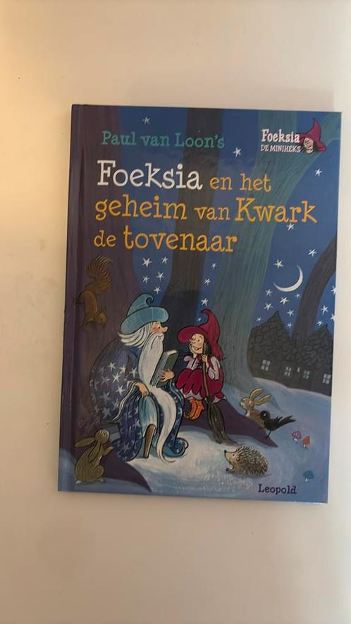 Paul van Loon - Foeksia en het geheim van Kwark de tovenaar, Boeken, Kinderboeken | Jeugd | onder 10 jaar, Zo goed als nieuw, Ophalen of Verzenden