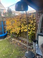 Vintage Booglamp - Stijlvolle Verlichting, Huis en Inrichting, Lampen | Vloerlampen, Ophalen, Gebruikt, Metaal, 150 tot 200 cm