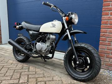 Honda APE 50 PGM-FI | 2009 | JDM | NL Kenteken | 636km beschikbaar voor biedingen