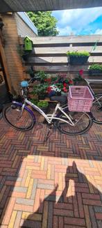 Batavus, Ophalen, Gebruikt, Batavus