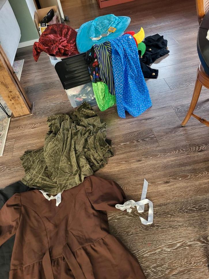 Carnavalskleding - non outfit, jassen, hoeden, Rokken, Boa's, Kleding | Dames, Carnavalskleding en Feestkleding, Carnaval, Ophalen of Verzenden