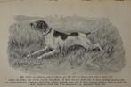 Der Jagdhund honden jachthonden Frans Krichler o.a. fok 1894, Gelezen, Honden, Ophalen of Verzenden, Frans Krichler