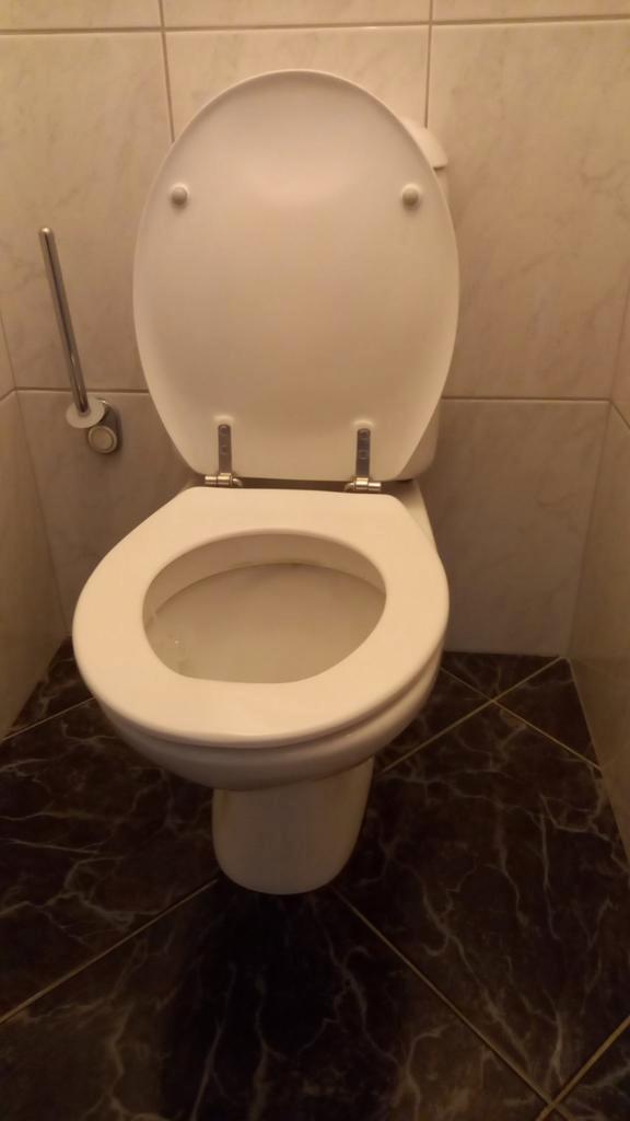 SPHINX topmerk closetcombinatie te koop, Doe-het-zelf en Verbouw, Sanitair, Gebruikt, Toilet, Steen, Ophalen of Verzenden