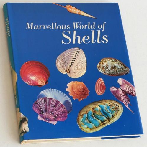 Marvellous World of Shells, Boeken, Natuur, Gelezen, Overige onderwerpen, Ophalen of Verzenden