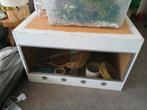 Terrarium hout 80x50x50 cm met 1 fitting en lampkooien, Dieren en Toebehoren, Reptielen en Amfibieën | Toebehoren, Ophalen, Gebruikt