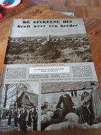 Artikel nieuwe herder Jacob Mouw Ginkelse hei 1954, Ophalen of Verzenden, 1940 tot 1960, Knipsel(s)