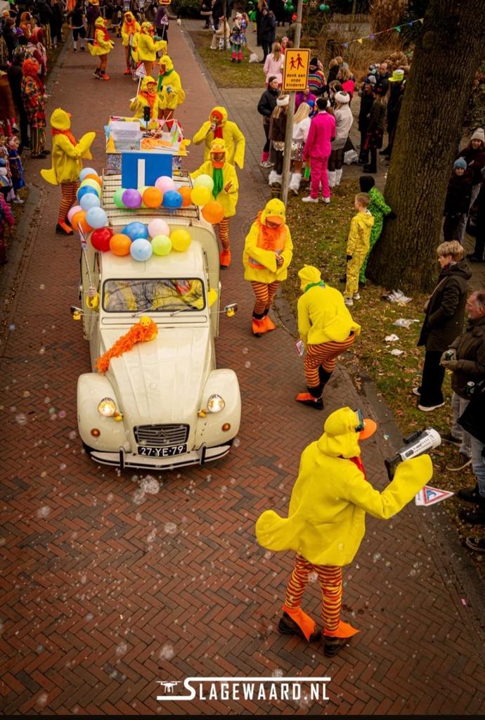 18 Carnaval Outfits Eend - Goede Staat, Kleding | Dames, Carnavalskleding en Feestkleding, Gedragen, Kleding, Carnaval, Ophalen of Verzenden