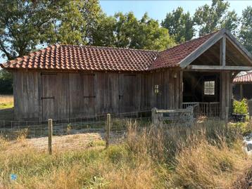 Paarden stalling beschikbaar voor biedingen