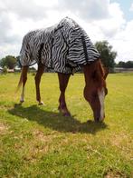 Nieuwe Zebra Vliegendeken met afneembare hals Maat 165, Dieren en Toebehoren, Paarden en Pony's | Dekens en Dekjes, Ophalen of Verzenden