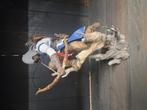 Diverse assasin creed figuren, Ophalen of Verzenden, Zo goed als nieuw, Dier
