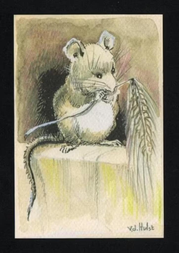 W.G. van de Hulst Het klompje dat op het water dreef Muis., Verzamelen, Ansichtkaarten | Themakaarten, Ongelopen, 1980 tot heden