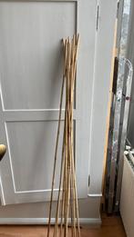 Bamboe stokken, 150 cm, Ophalen of Verzenden, Klimplanten, Bloeit niet