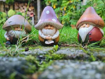 Decoratie, Herfst /Kerst. beschikbaar voor biedingen