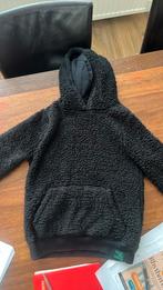 WE teddy trui/ hoody 146-152, Ophalen of Verzenden, Zo goed als nieuw, Meisje, Trui of Vest