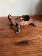 Antieke Schildpad Asbak - Decoratief Object, Antiek en Kunst, Curiosa en Brocante, Ophalen of Verzenden