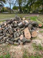 Haardhout esdoorn, Tuin en Terras, Haardhout, 6 m³ of meer, Ophalen, Overige houtsoorten, Stammen