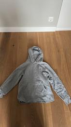 Ralph lauren hoodie, maat 164, Kleding | Heren, Truien en Vesten, Ralph Lauren, Overige maten, Ophalen of Verzenden, Grijs