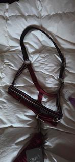 Halster maat full met touw van 2m, Dieren en Toebehoren, Paarden en Pony's | Hoofdstellen en Tuigage, Verzenden, Nieuw, Overige soorten