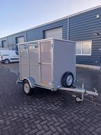 Kleinveetrailer, Mannelijk, Schaap