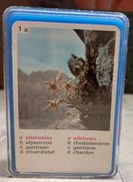 Planten kwartet., Ophalen of Verzenden, Gebruikt, Kwartet(ten)