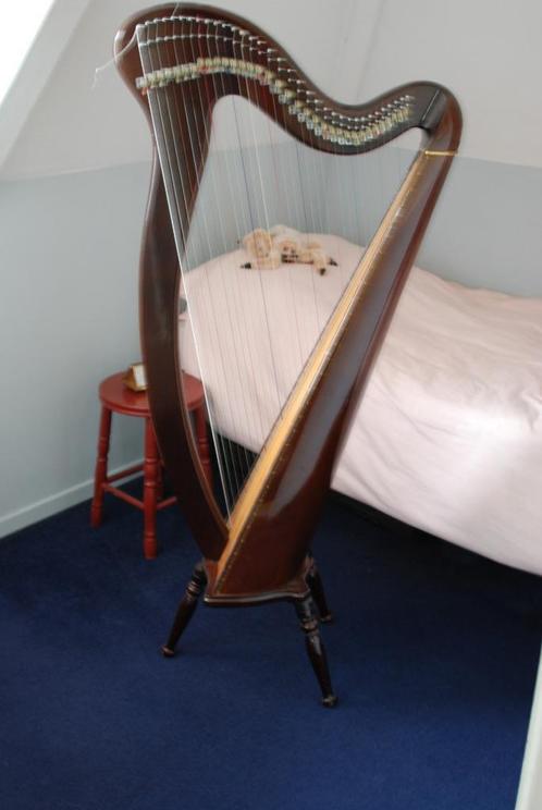 Harp, Muziek en Instrumenten, Snaarinstrumenten | Harpen, Gebruikt, Ophalen