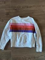 Tommy hilfiger trui maat S, Ophalen of Verzenden, Zo goed als nieuw, Maat 38/40 (M)