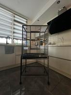 papegaaien kooi, Ophalen of Verzenden, Gebruikt, Metaal, Vogelkooi