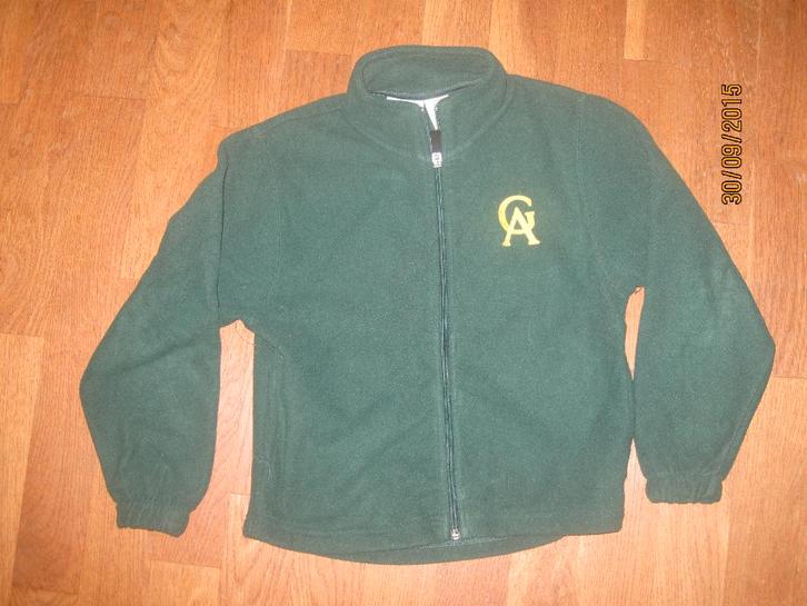 Mills groen vest maat 116/122, Kinderen en Baby's, Kinderkleding | Maat 116, Gebruikt, Jongen, Trui of Vest, Ophalen of Verzenden