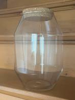 Terrarium / Glazen Pot, Ophalen, Overige kleuren, Minder dan 50 cm, Glas