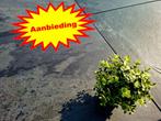 𝐓𝐔𝐈𝐍𝐓𝐄𝐆𝐄𝐋𝐒 { 𝐓𝐈𝐏 }, Keramiek, Nieuw, Ophalen of Verzenden, 10 m² of meer