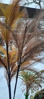 3 pluimen sier voor vaas oid, Ophalen, Zo goed als nieuw