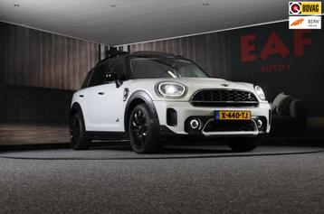 Mini Mini Countryman 2.0 Cooper S E ALL4 Chili / AUT / Dig C beschikbaar voor biedingen