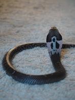 Naja atra Chinese cobra CB19, Dieren en Toebehoren, Slang, 3 tot 6 jaar
