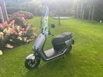 Gloednieuwe Segway E110 Mat Grijs Elektrische Scooter bomvol, Ophalen, Maximaal 45 km/u, Elektrisch, Nieuw