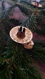 8 Kaarsenknijpertjes kerstboomknijpertjes (nuzzelspul), Ophalen of Verzenden, Gebruikt