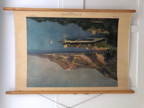 schoolplaten, Antiek en Kunst, Antiek | Schoolplaten, Natuur en Biologie, Ophalen of Verzenden