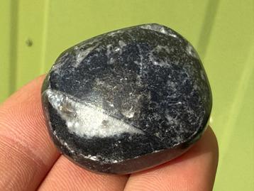 Orthoceras - Belemniet broekzaksteen mineralen fossiel beschikbaar voor biedingen