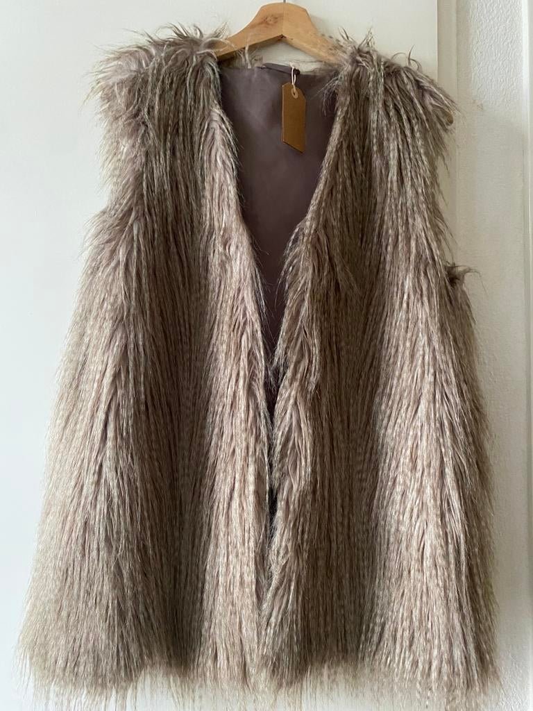 Mooi vest maat L, Kleding | Dames, Truien en Vesten, Ophalen of Verzenden, Zo goed als nieuw, Maat 38/40 (M)