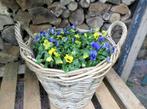 Bloemenmand/aardappelmand Diep 30 cm Hoog 23 cm antiek grijs, Ophalen, Nieuw, Rond