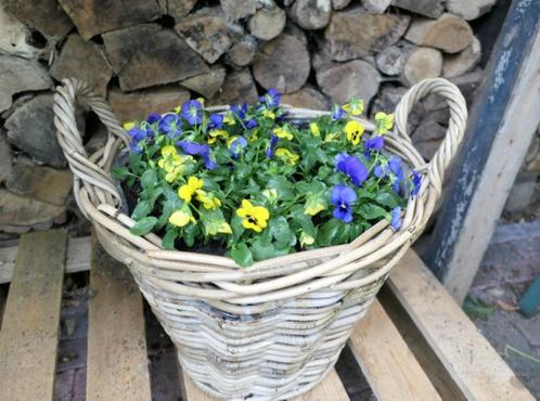 Bloemenmand/aardappelmand Diep 30 cm Hoog 23 cm antiek grijs, Huis en Inrichting, Woonaccessoires | Schalen en Manden, Nieuw, Rond