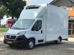 Fiat Ducato 2.3 MultiJet Euro 6 koelwagen Motor Schade, Gebruikt, Euro 6, Wit, Origineel Nederlands