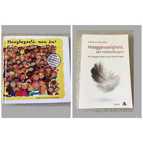 Hoogbegaafd, nou en? / Hooggevoeligheid, een miskende gave, Boeken, Esoterie en Spiritualiteit, Spiritualiteit algemeen, Ophalen