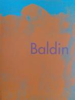 Wim van der Beek - BALDIN - de magie van het moment, Ophalen of Verzenden, Zo goed als nieuw, Schilder- en Tekenkunst