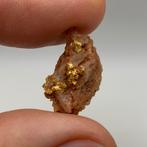 Goud Specimen Nugget uit Alaska, Ophalen of Verzenden, Goud