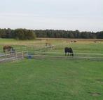 Stalling vrij Hulshorst, Stalling