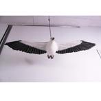 White Breasted Sea Eagle beeld – Zeearend Breedte 185 cm