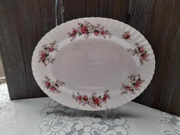 Bij ons veel royal albert lavender rose  beschikbaar voor biedingen