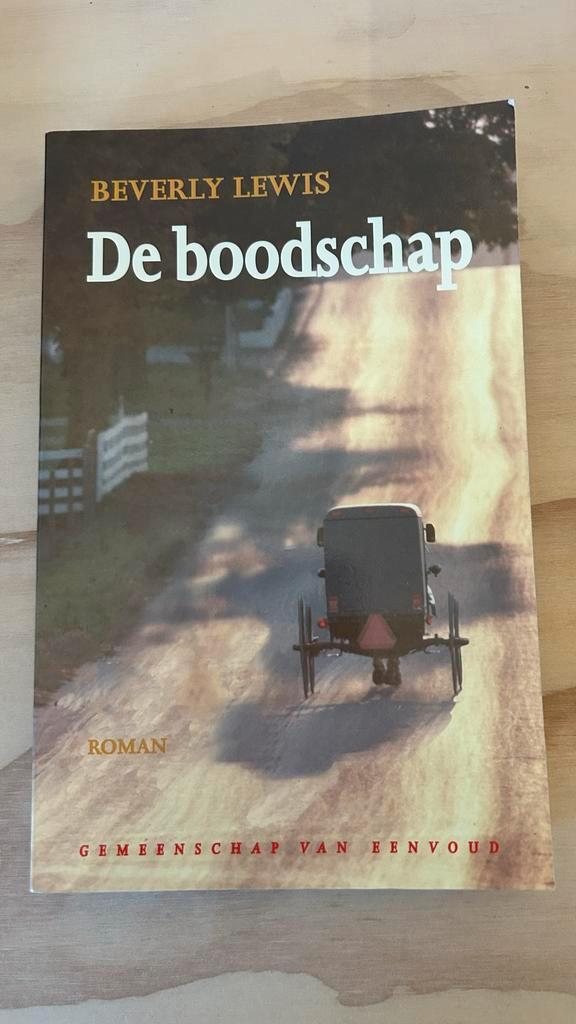 De Boodschap - Beverly Lewis, Boeken, Romans, Zo goed als nieuw, Nederland, Ophalen of Verzenden