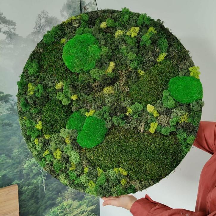 Handgemaakt rond mosschilderij / moscirkel 50cm, Huis en Inrichting, Woonaccessoires | Wanddecoraties, Nieuw, Ophalen of Verzenden