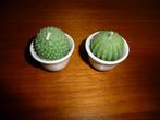 2 kaarsen in de vorm van een cactus., Nieuw, Minder dan 25 cm, Overige materialen, Wit